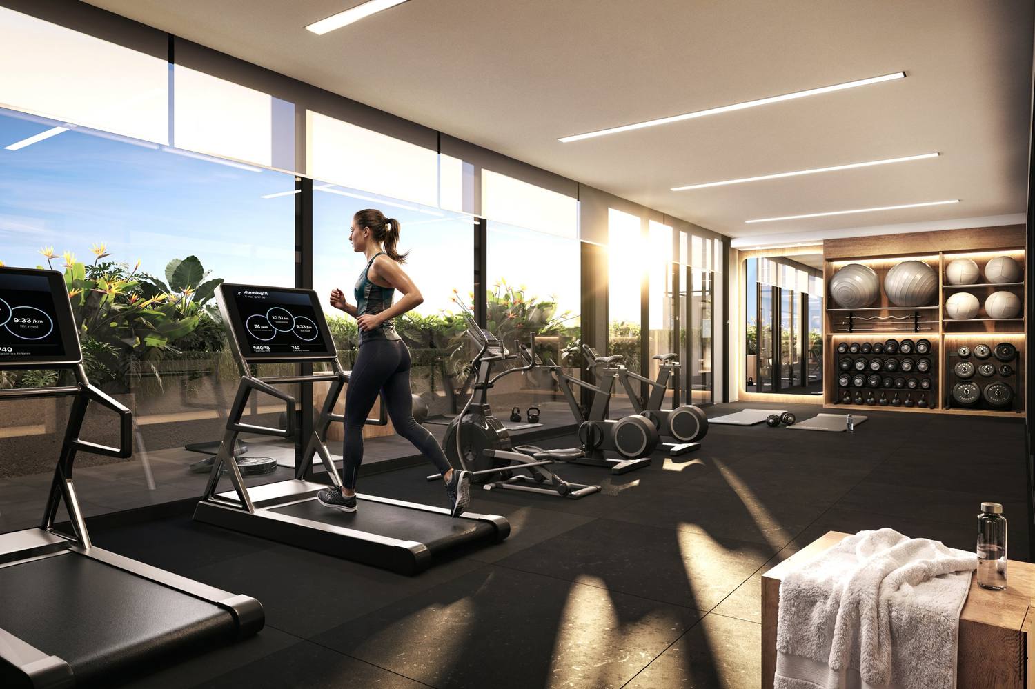 Gimnasio